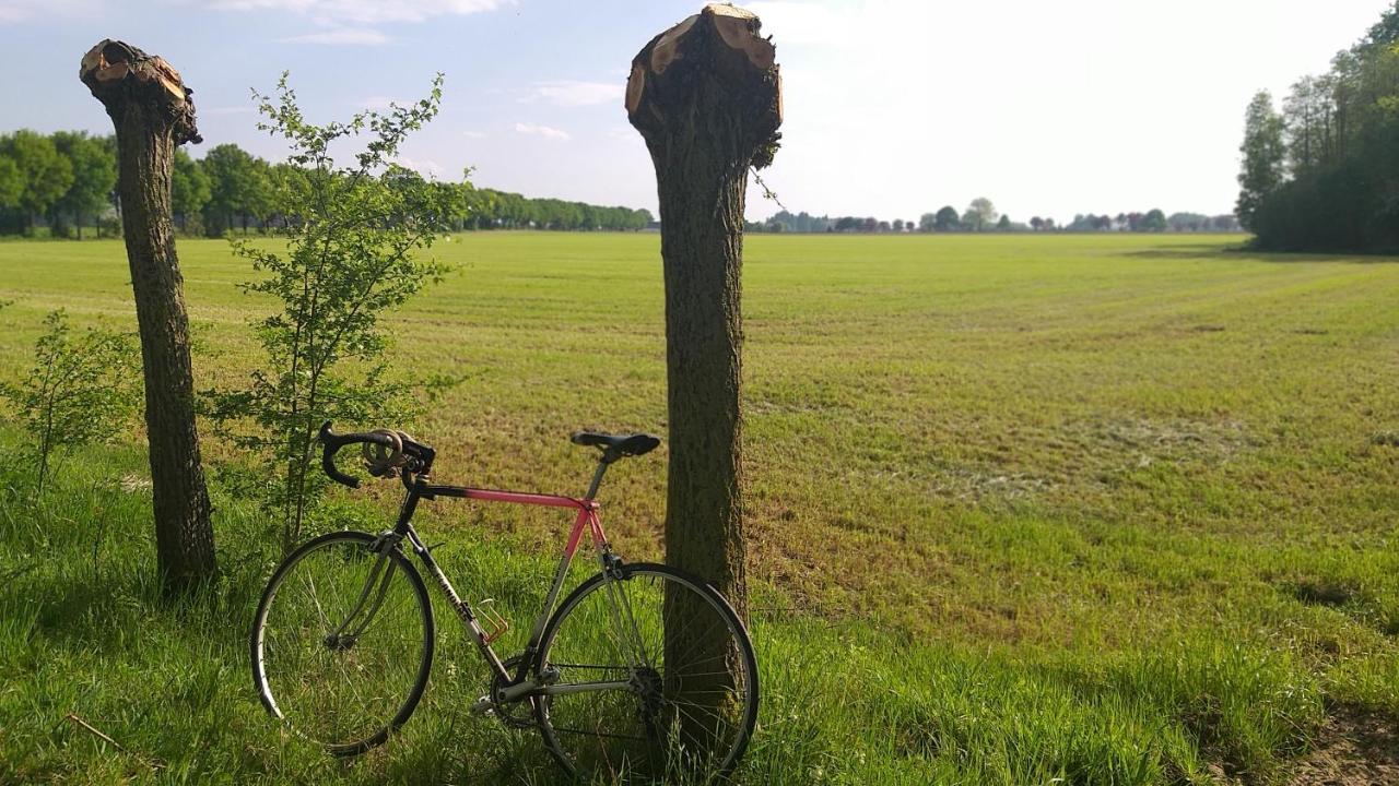 Muntershof Villa Velzeke-Ruddershove Eksteriør billede