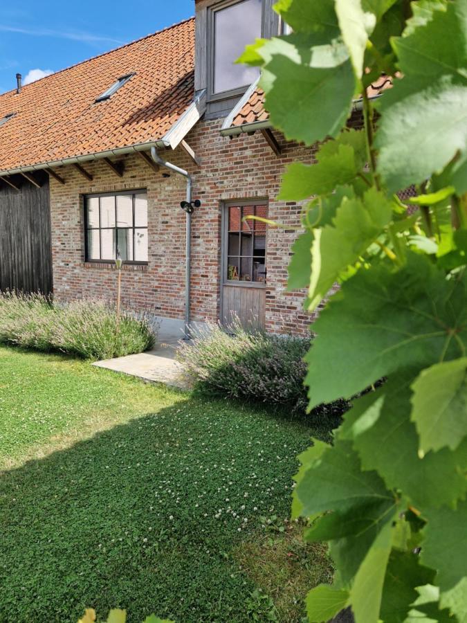 Muntershof Villa Velzeke-Ruddershove Eksteriør billede